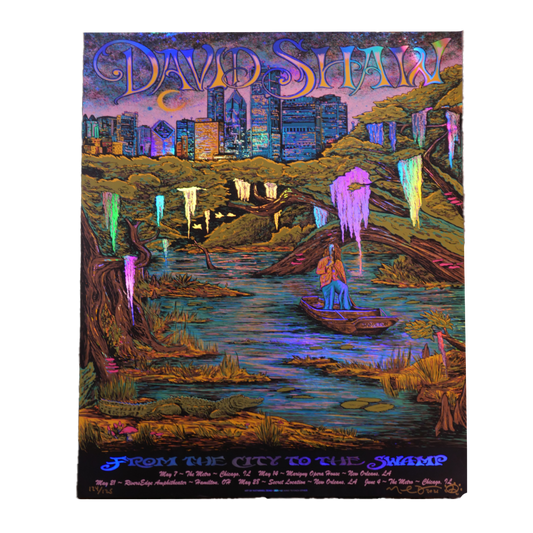 Colorful psychedelic-style poster featuring a cityscape, swamp, and the text ’David Shaw’.